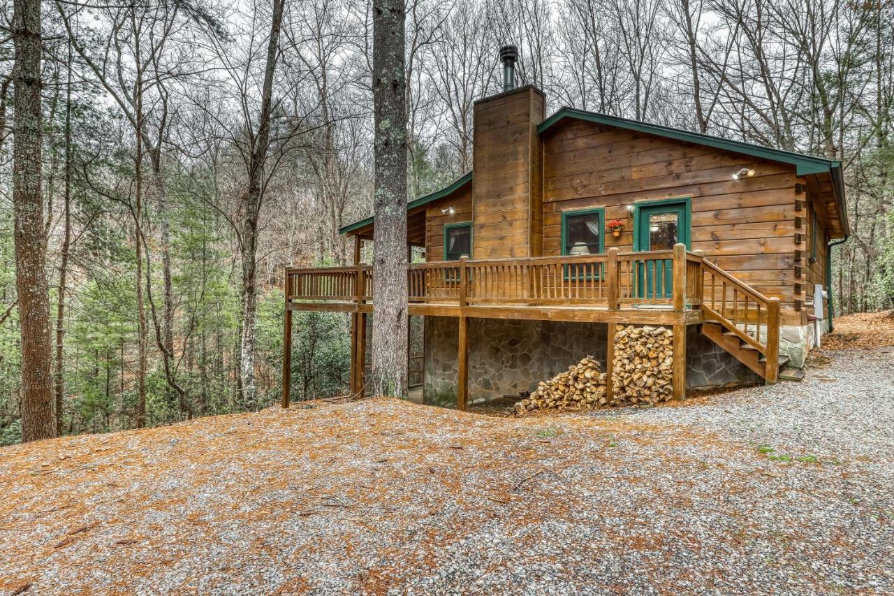 Villa Papa Bear'S Den Blue Ridge Exterior foto